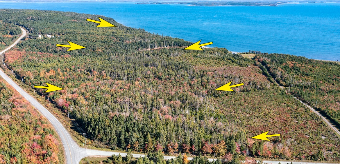 Air photo in fall from Chedabucto Bay Estates, Nova Scotia